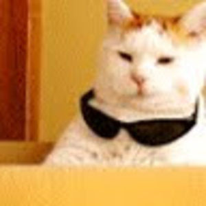 Meet your Posher, Juliette